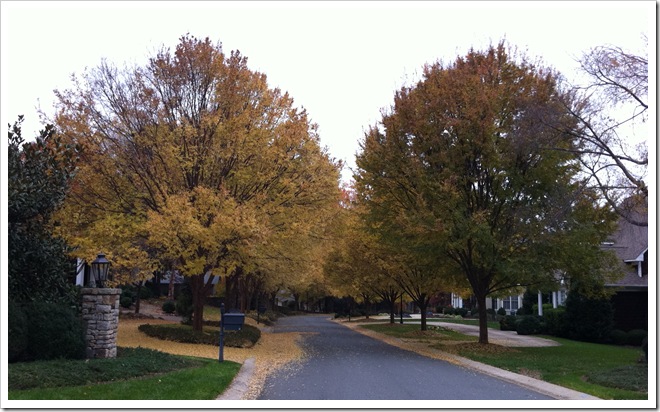 Fall in Cotswold