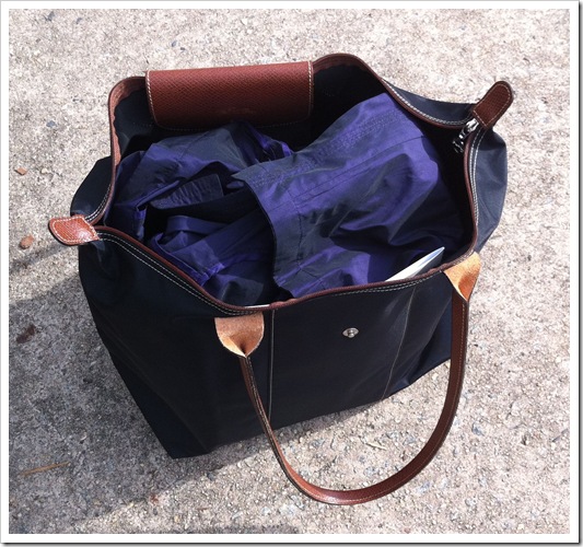 Longchamp changing online bag